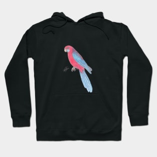 Crimson rosella Hoodie